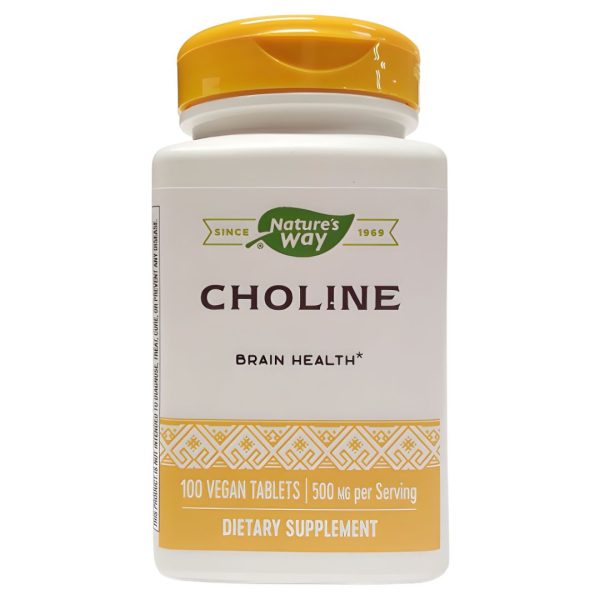 Nature’s Way, Choline, 500 mg, 100 Vegan Tablets